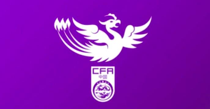 刘玲, 中国足球协 刘玲, 中国足球协