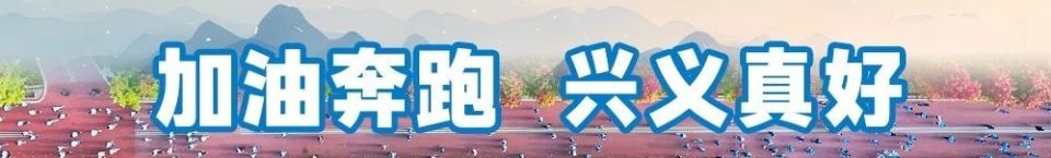img, 是一种极致