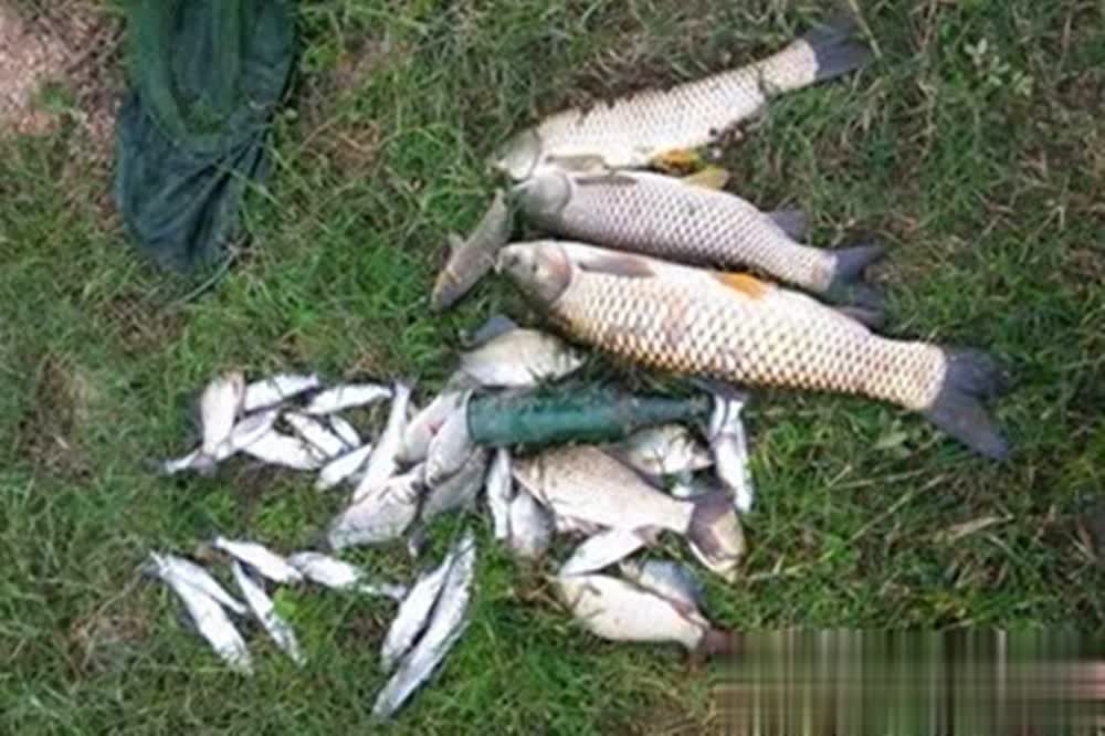 种经典钓位, 仲秋钓大鱼